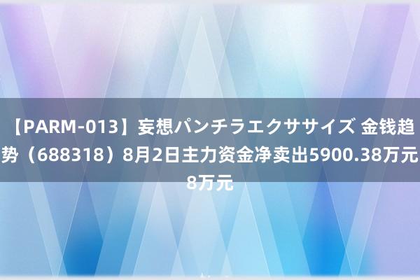 【PARM-013】妄想パンチラエクササイズ 金钱趋势（688318）8月2日主力资金净卖出5900.38万元