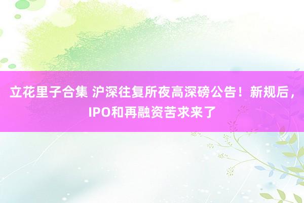 立花里子合集 沪深往复所夜高深磅公告！新规后，IPO和再融资苦求来了