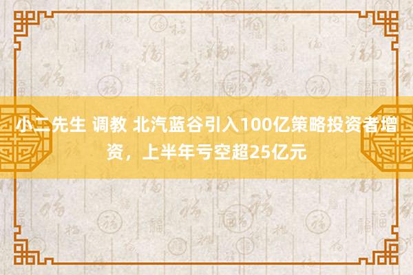 小二先生 调教 北汽蓝谷引入100亿策略投资者增资，上半年亏空超25亿元