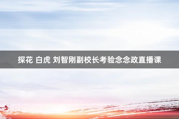 探花 白虎 刘智刚副校长考验念念政直播课