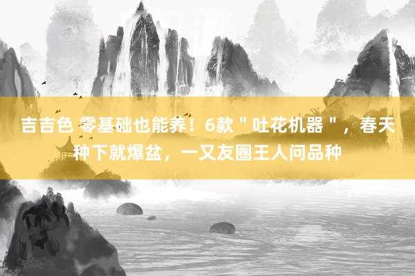 吉吉色 零基础也能养！6款＂吐花机器＂，春天种下就爆盆，一又友圈王人问品种