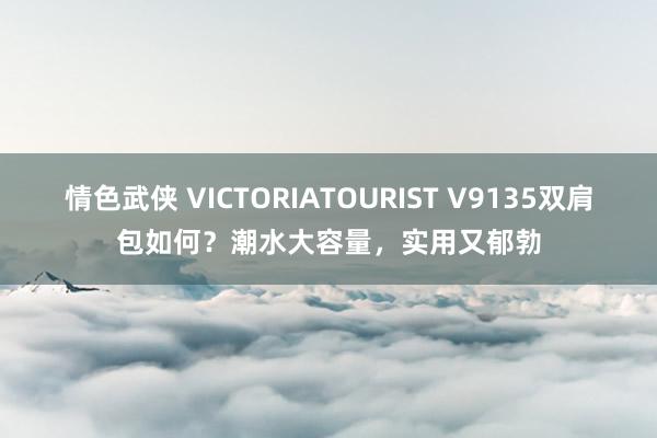 情色武侠 VICTORIATOURIST V9135双肩包如何？潮水大容量，实用又郁勃