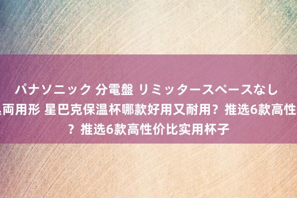 パナソニック 分電盤 リミッタースペースなし 露出・半埋込両用形 星巴克保温杯哪款好用又耐用？推选6款高性价比实用杯子