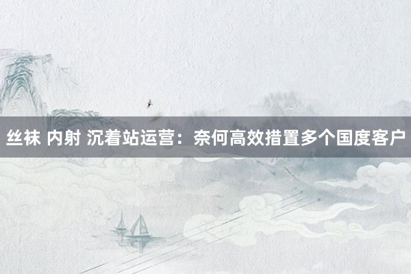 丝袜 内射 沉着站运营：奈何高效措置多个国度客户