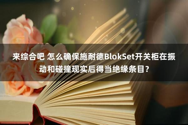 来综合吧 怎么确保施耐德BlokSet开关柜在振动和碰撞现实后得当绝缘条目？