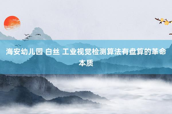海安幼儿园 白丝 工业视觉检测算法有盘算的革命本质