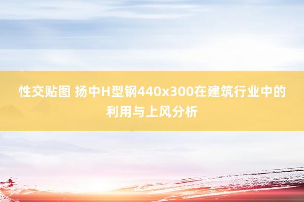 性交贴图 扬中H型钢440x300在建筑行业中的利用与上风分析