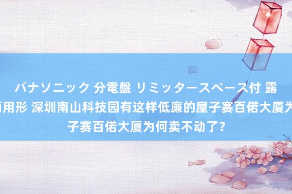パナソニック 分電盤 リミッタースペース付 露出・半埋込両用形 深圳南山科技园有这样低廉的屋子赛百偌大厦为何卖不动了？