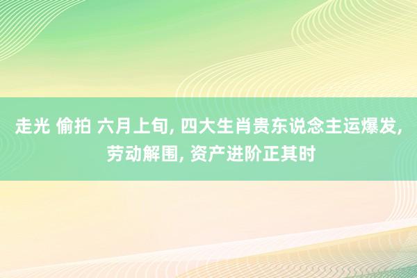 走光 偷拍 六月上旬, 四大生肖贵东说念主运爆发, 劳动解围, 资产进阶正其时