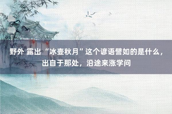 野外 露出 “冰壶秋月”这个谚语譬如的是什么，出自于那处，沿途来涨学问