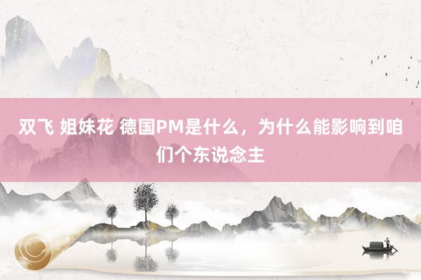 双飞 姐妹花 德国PM是什么，为什么能影响到咱们个东说念主