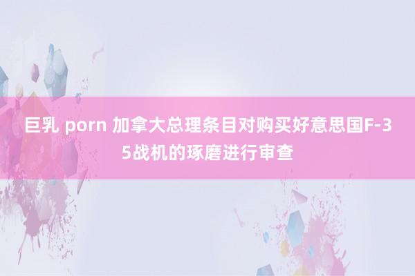 巨乳 porn 加拿大总理条目对购买好意思国F-35战机的琢磨进行审查