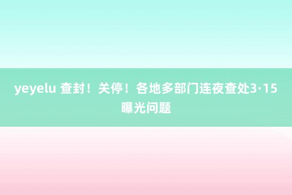 yeyelu 查封！关停！各地多部门连夜查处3·15曝光问题