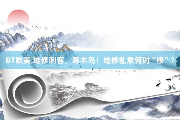 BT欧美 维修刺客，啄木鸟！维修乱象何时“修”？